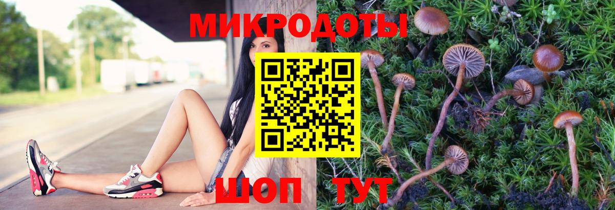 Галлюциногенные грибы Psilocybe  Вход с VPN  Чебаркуль  Псилоцибиновые грибы MAGIC MUSHROOMS 